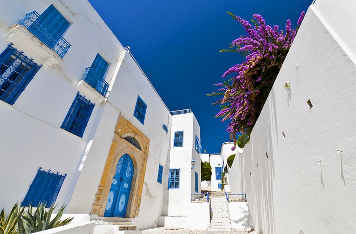 tunisia-tunis-sidi-bou-said-street-scene